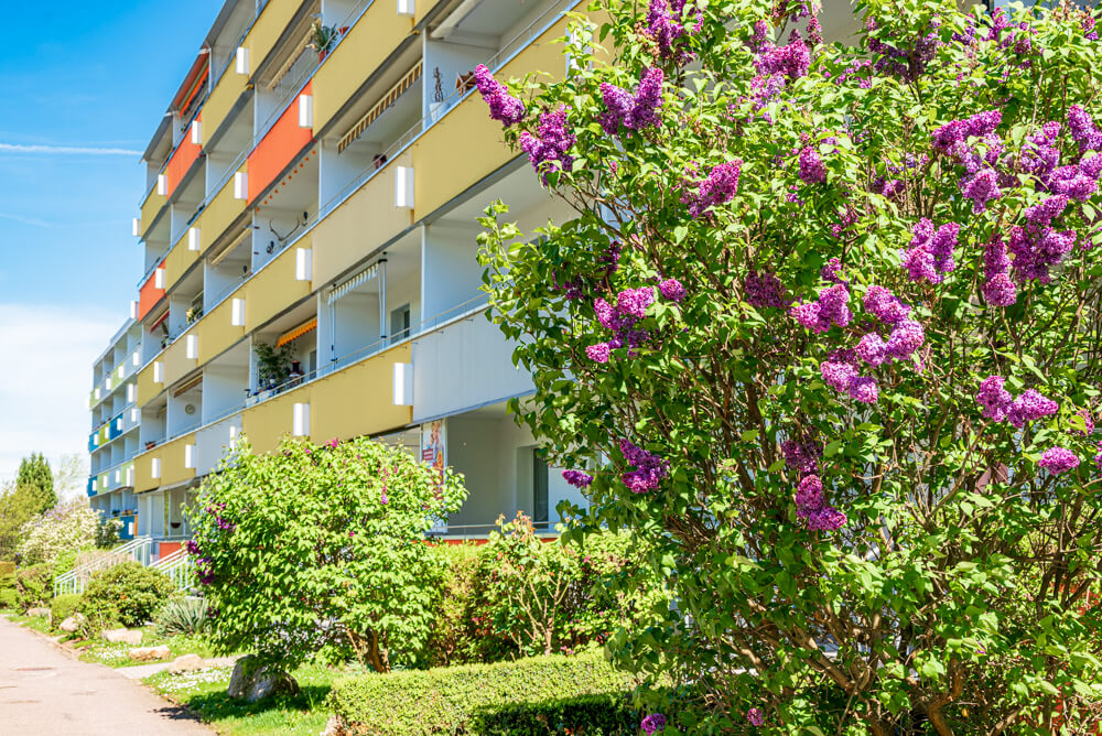 Max-Planck-Straße 24 - Foto 1